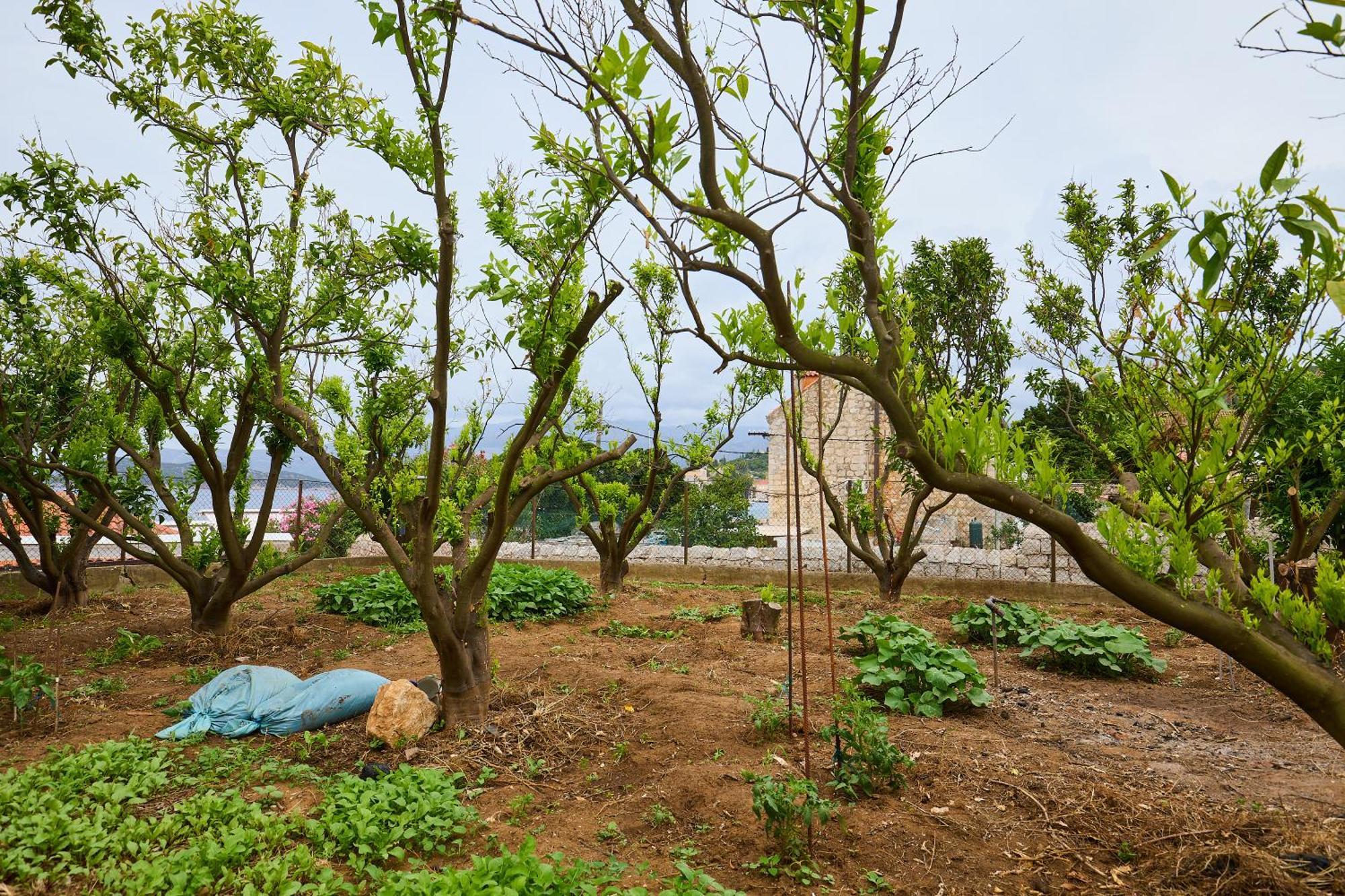 Beloc House Lopud Island Exterior foto